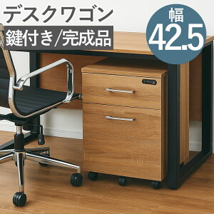 fXNS RG425-KKA TChS i t o ItBXƋ  d  ItBX E 42cm 60cm ؐ ؖ _C _CbN _C gݗĕsv L