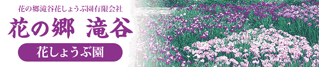 楽天市場 花の郷滝谷花しょうぶ園がオススメするカラダにやさしい商品を扱うお店です 花の郷滝谷花しょうぶ園楽天市場店 トップページ