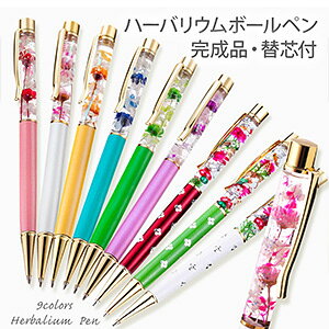 NX}X 2025 n[oE {[y i (ւc3{t) y Mtg a v[g v`Mtg ސE  ޏ  җj ʉ  j ސEj 蕨 y 