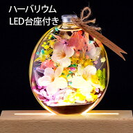 母の日 2026 ハーバリウム 丸瓶 + LED台座 ラッピング 付き ギフトセット / 卒業式 進学祝い 合格祝い 新…