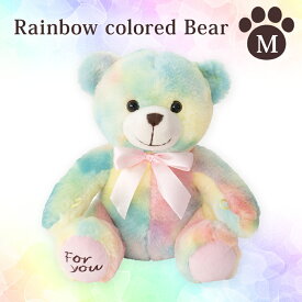 クリスマス 2025 くま ぬいぐるみ M / 卒園 出産祝い プレゼント ギフト クマ テディーベア 誕生日 女性 女の子 子供 ピンク レインボー 送料無料 入学 贈り物 ふわふわ ふわもこ ベア— ウェルカムベア ウェディングベア バースデー DAB-SBQ1