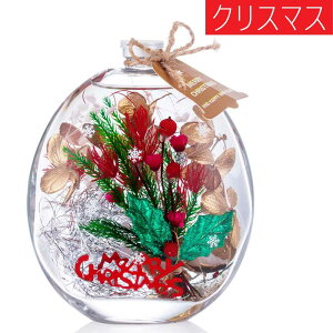 hV̓ 2025 n[oE  r / V    vU[uht[ lC Mtg v[g  LO Ԃ j V j ސEj j   IC IV