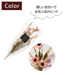 pt[u[P  u[P sN CG[ X[L[u[ XbO / ԑ CeA Mtg v[g hCt[ XbO u[P ~ju[P hV̓ ̓ a u[