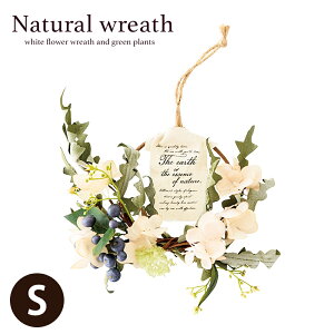 NX}X 2025 t[AWg STCY i`[X-5 / [X [X t[[X  IV  JtF hCt[   A[eBtBVt[ 