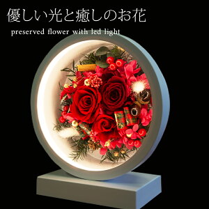 NX}X 2025 LED vU[uht[ USB / vU  t[ h[ v[g {bNX Mtg   j a LO o  ސE t[Mtg AW Vzj