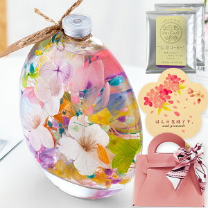 2025 XC[c bsO t n[oE ەr / V a j j Mtg v[g ԂƂَq ސE    vU[uht[ NbL[ R[q[ fJtF  40