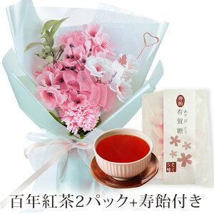 NX}X 2025 XC[c bsO t X^fBO \[vt[ STCY ԑ / v[g Mtg    o q} Ђ܂  vU[uht[  u[P 