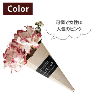 �p�t���[���~�j�u�[�P �N���b�v�t�� / ���� �~�j�u�[�P �v���[���g �M�t�g �v�`�M�t�g �i�`������ �^�C�j�[�u�[�P ���b�s���O ���� �������