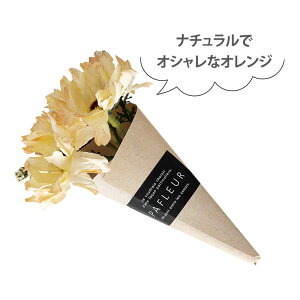 pt[~ju[P Nbvt /  ~ju[P v[g Mtg v`Mtg i` ^Cj[u[P bsO  