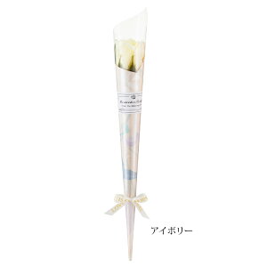 _ƎɁI50{ȉ̂\\^ 1 \[vt[ o / NX}X 2025 a 搶 l ܎O  Cxg v`Mtg Ԃ 񎟉 1{  Mtg v[g ސE ii 