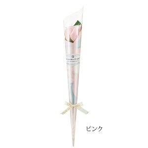 _ƎɁI50{ȉ̂\\^ 1 \[vt[ o / NX}X 2025 a 搶 l ܎O  Cxg v`Mtg Ԃ 񎟉 1{  Mtg v[g ސE ii 