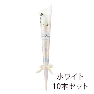  o 10{Zbg \[vt[ / 1 { 1{ Mtg v[g v`Mtg a ސE  j rS ii p[eB[ Cxg Ԃ Ǝ     