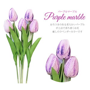 NX}X 2025 \[vt[ 5{ Zbg `[bv ԍ /  f ޗ 5  Nb`u[P a  EFfBO Ǝ w ސE ʉ }  ̓ Mtg v