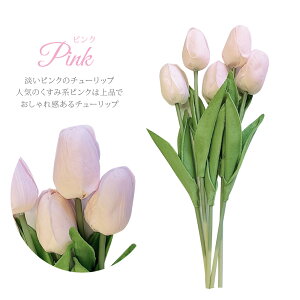 NX}X 2025 \[vt[ 5{ Zbg `[bv ԍ /  f ޗ 5  Nb`u[P a  EFfBO Ǝ w ސE ʉ }  ̓ Mtg v