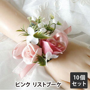 qp  10Zbg RT[W  Xgu[P / Ǝ   c w  Zj[ \ i \ EGfBO   q j̎q ̎q   