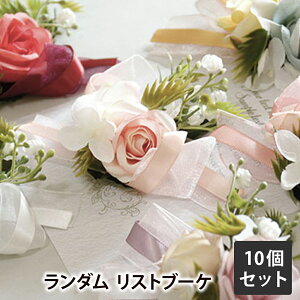 qp  10Zbg RT[W  Xgu[P / Ǝ   c w  Zj[ \ i \ EGfBO   q j̎q ̎q   