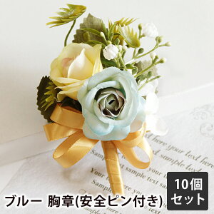 qp  10Zbg RT[W  Xgu[P / Ǝ   c w  Zj[ \ i \ EGfBO   q j̎q ̎q   