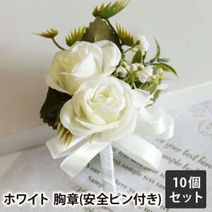 qp  10Zbg RT[W  Xgu[P / Ǝ   c w  Zj[ \ i \ EGfBO   q j̎q ̎q   