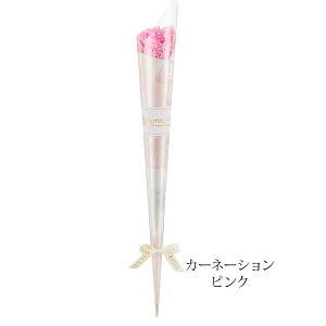 _ƎɁI50{ȏ̂\\^ \̔   1փ\[vt[ `[bv  J[l[V Ǝ  Ɛ k q ։ ԑ  搶  y  L