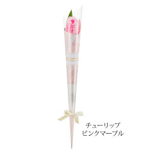 _ƎɁI50{ȏ̂\\^ \̔   1փ\[vt[ `[bv  J[l[V Ǝ  Ɛ k q ։ ԑ  搶  y  L