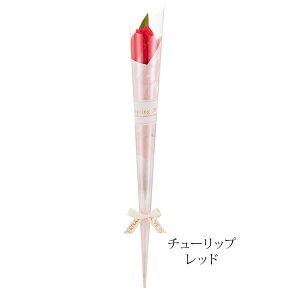 _ƎɁI50{ȉ̂\\^ 1փ\[vt[ `[bv   J[l[V / 2025 Ǝ    l Cxg v`Mtg Ԃ 񎟉 1{  Mt