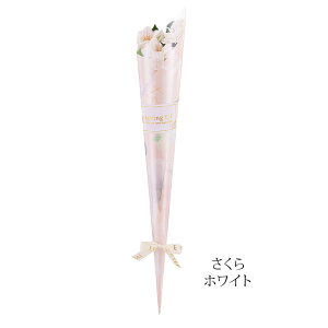 _ƎɁI50{ȉ̂\\^ 1փ\[vt[ `[bv   J[l[V / 2025 Ǝ    l Cxg v`Mtg Ԃ 񎟉 1{  Mt