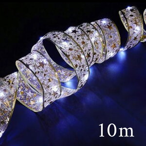 NX}X 2025 LED { {Cg 10m 5m 2m dr /  LEDCg C~l[V fR[V c[ I[ig p[eB[ nEB