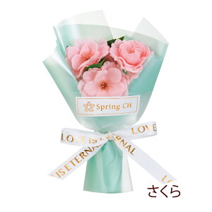 _ƎɁI50{ȉ̂\\^ 2025 1 u[P \[vt[ ԑ  o ւ  EFfBO Cxg v`Mtg Ԃ 񎟉 1{  Mtg v[g a i