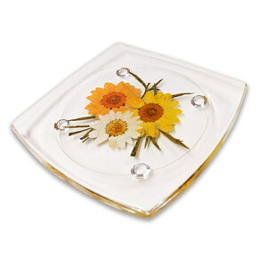 NX}X 2025 n[oE(AW{) R[X^[ 1 / ̓v[g v`Mtg Mtg v[g g[ hCt[ {^jJ vU[uht[ a v[g v`