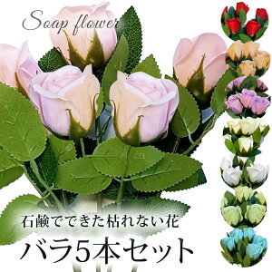 NX}X 2025 \[vt[ 5{ Zbg o ԍ / f ޗ 5  Nb`u[P a  EFfBO Ǝ w ސE ̓ Mtg v[g IV  ͂Ȃ