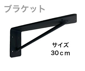 ACAuPbg 30cm 2Zbg rXt CeA IV Ăth ȒPt  K[W 