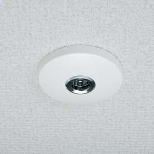   V ݂艺 SPC^ {  ̂ ~J̐ 