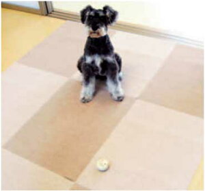 ybgp~ u^C}bg45×60cm