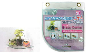 ΂{[hpIEIZbg vX^[VFt KXR[i[