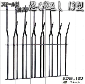 L悯EѕԂ(~jtFX) 13^X`[
