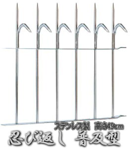 EѕԂ y^ XeX y49cmz Oh Nh~ 