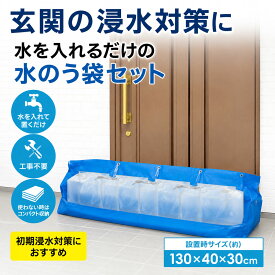 水のう袋 浸水対策 玄関用 水のう 水嚢 防災 大雨 台風 豪雨 洪水対策 工事不要 注水式 浸水防止 水害対策 玄関ドア