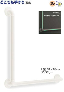 肷 ǂł肷~^Cv L^ 60×60cmy肷ZbgzyzygCz