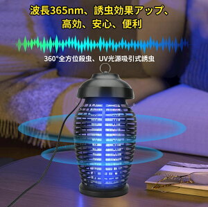 dE  ߒ d E RoG E@ 18W  E ΂Ƃ nG  RoG@  h @  U铔 悯 ECg ގ  ͂   O