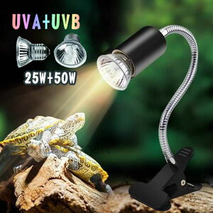 bv O T Cg OCg Cg ޗpCg ঒ Cg TCg 25W+50WAiOz ঒ރCg MсEM UVA+UVBCg oXLOCg2vt