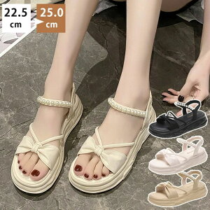 T_  T_ fB[X ₷ X|T T_ JWA y AEghA RtH[gT_ ɂ  CX^lC T_ Ȃ T_