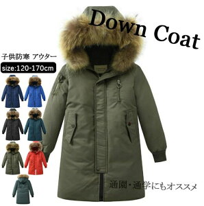 _ER[g LbY@q j̎q AE^[@_EWPbg _ER[g O ʊw LbY h H~ WjA AE^[ ~ ʉ AEghA LbY WjA hۉʔQ 