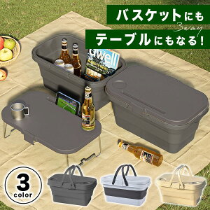 ピクニックバスケット ピクニック アウトドア バスケット ピクニック 折り畳み テーブル キャンプ レジャー ボックス プラスチック製