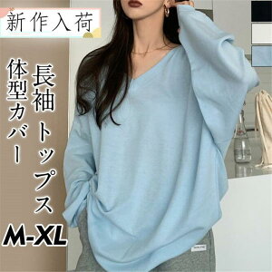 V TVc fB[X  Jbg\[ VlbN ɑ Ci[ JWA n   傫TCY  h  H