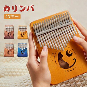 Jo ewsAm ŐV karinba 17 wsAm ewsAm TsAm S҃Zbg {}jA nhIS[ Zbg pP[X  y 17L[ }zKj[ v[g 