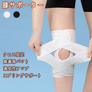 GT|[^[ G Ep 傫 TCY X|[c  Ђ T|[^[ }WbNe[v jO }\ oXP o[ Y fB[X jp x   Wp[ G 