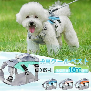 pN[xXg  ⊴n[lX ybg N[xXg N[xXg ⊴ pxXg   ЂxXg  ĕ p N[OxXg ⊴ pxXg pĕ ybg̗pxX