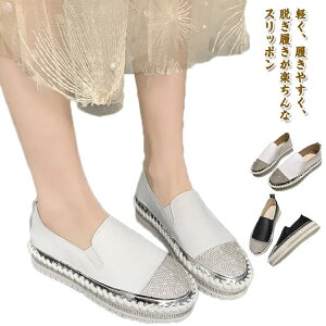  Xb| Xj[J[ ~  LL v[g [Jbg Xj[J[ ₷ rW[   JWA  C fB[X EhgD ʊw r 