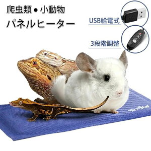 plq[^[ ঒ q[^[ q[^[}bg M}bg USBd x  ȃGl zbgJ[ybg Mpbh nX^[ gJQ h ΍ ~΍ ~ ybgpi ybgp 