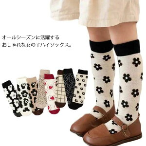 q C 3Zbg ̎q nC\bNX Rbg K[Y ԕ  킢 ۈ牀 ct ʉʊw tďH~ 2`8 ؍ LbY w  _炩